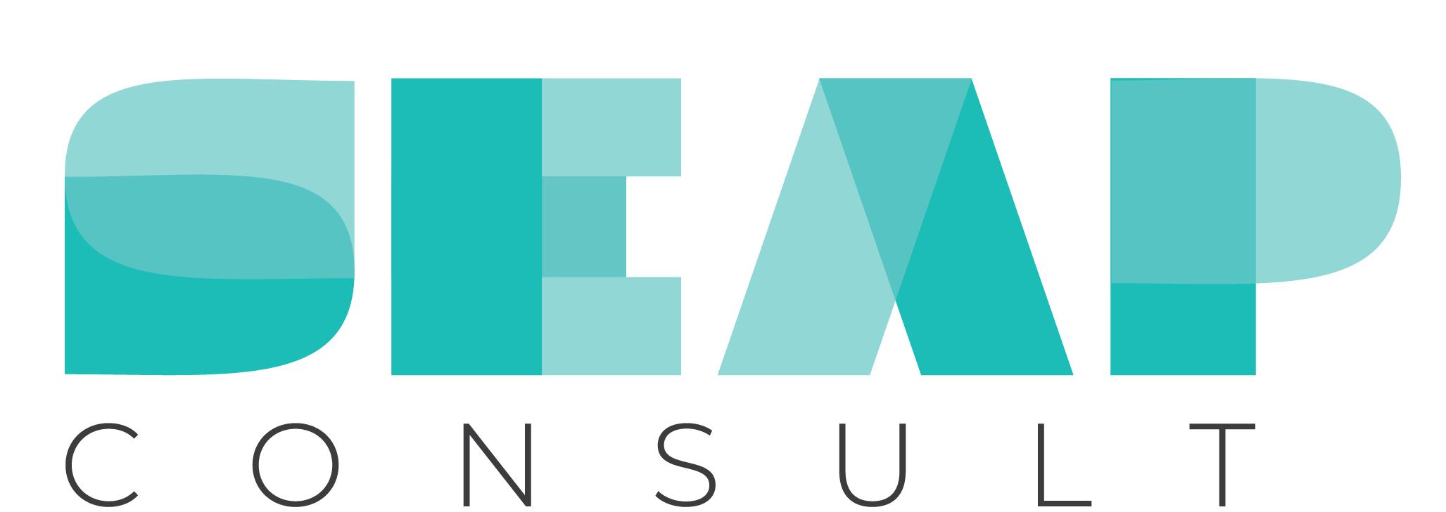 Seap Consult Training